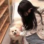 bd半岛·体育中国官方网站